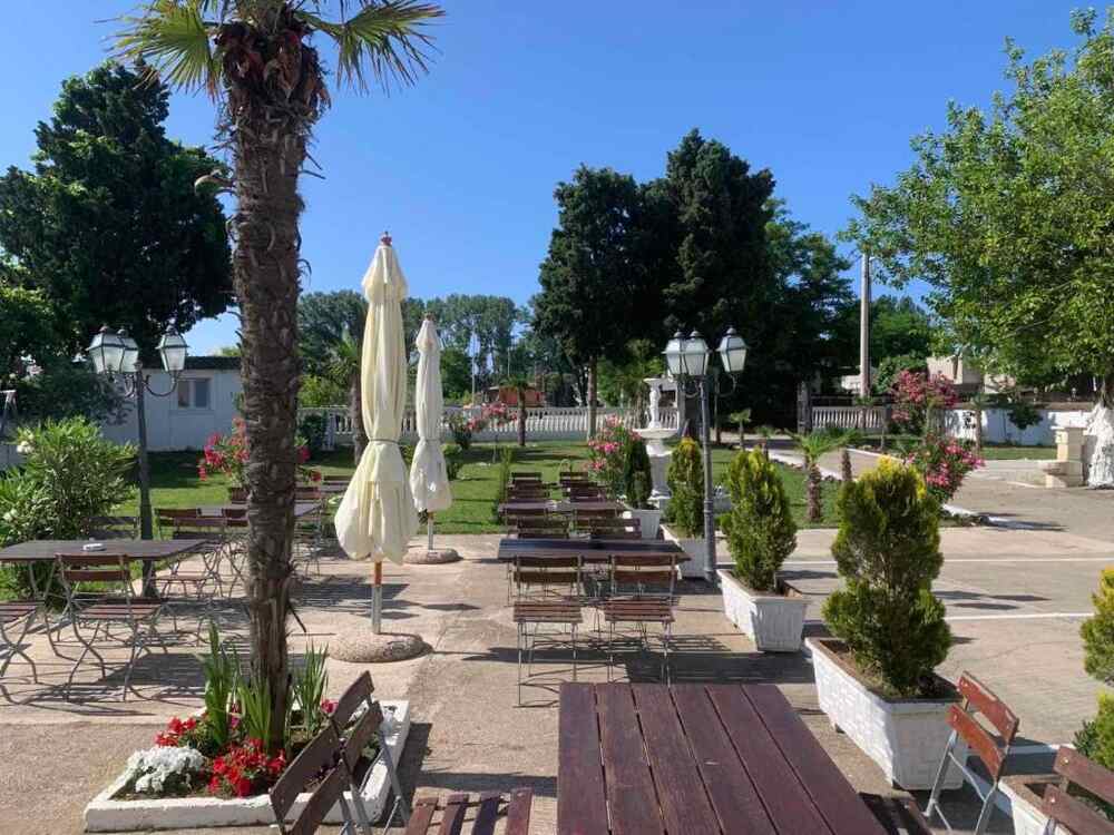 Bašta i dvorište sa palmama